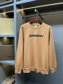 Picture of Burberry Sweatshirt _SKUBurberryS-2XLaztx859830939